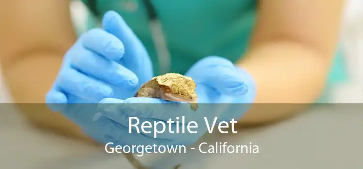 Reptile Vet Georgetown - California