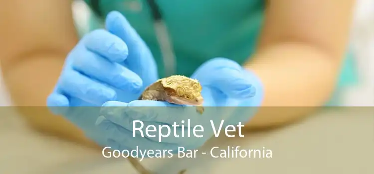 Reptile Vet Goodyears Bar - California