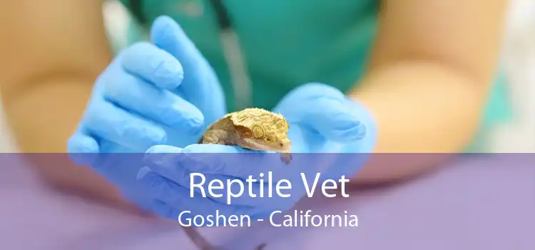 Reptile Vet Goshen - California