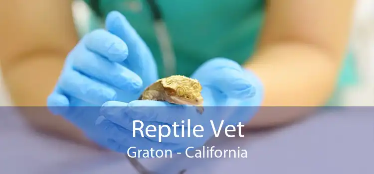 Reptile Vet Graton - California