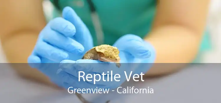 Reptile Vet Greenview - California