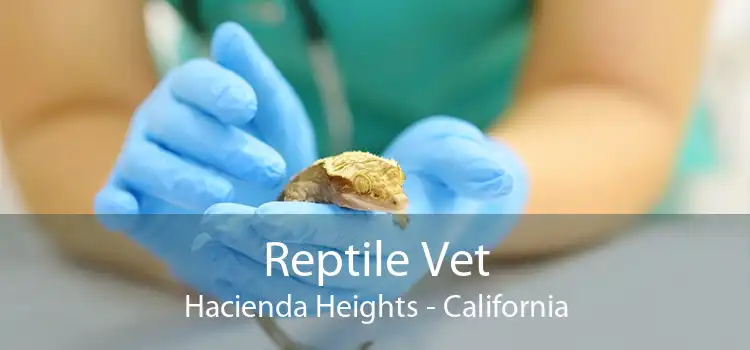 Reptile Vet Hacienda Heights - California