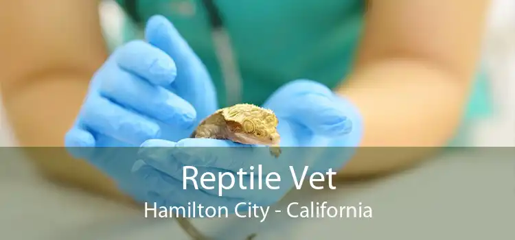 Reptile Vet Hamilton City - California