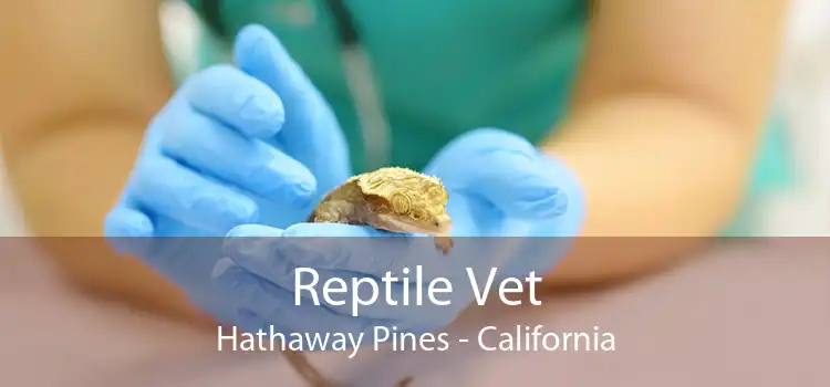 Reptile Vet Hathaway Pines - California