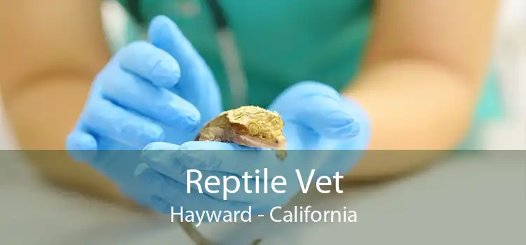 Reptile Vet Hayward - California