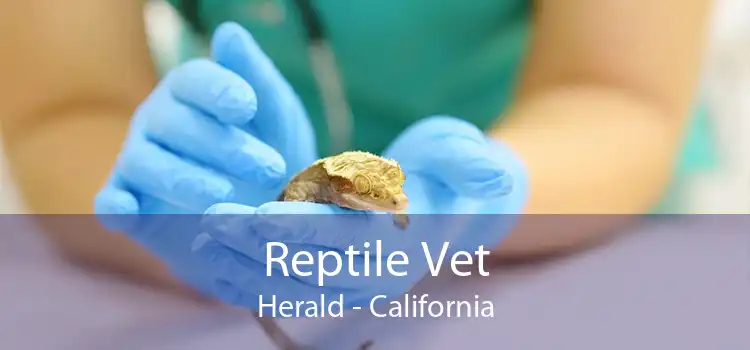 Reptile Vet Herald - California