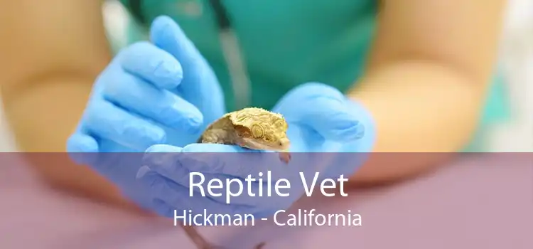 Reptile Vet Hickman - California