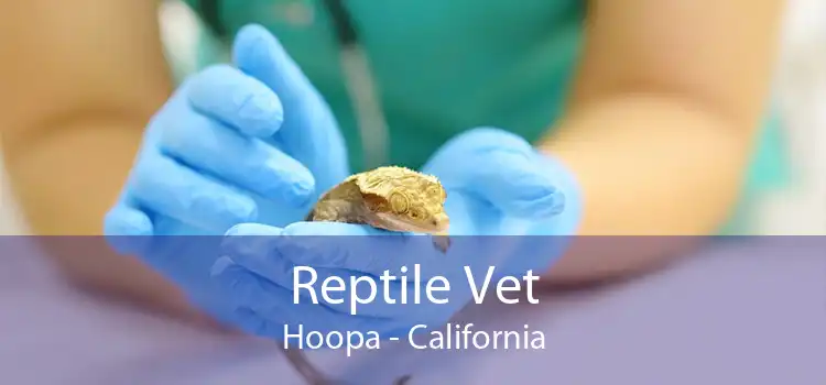 Reptile Vet Hoopa - California