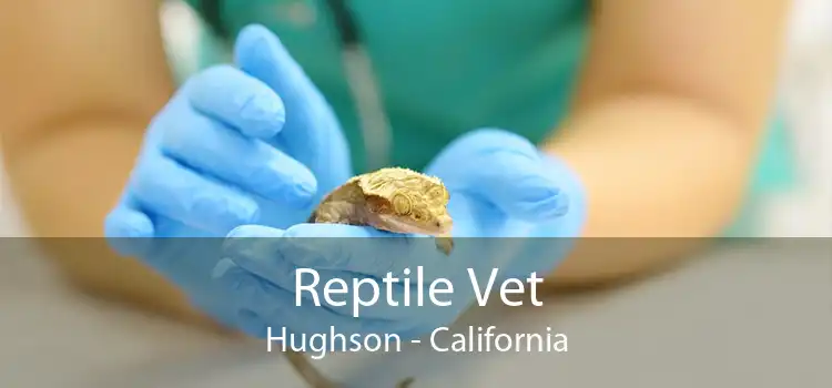 Reptile Vet Hughson - California