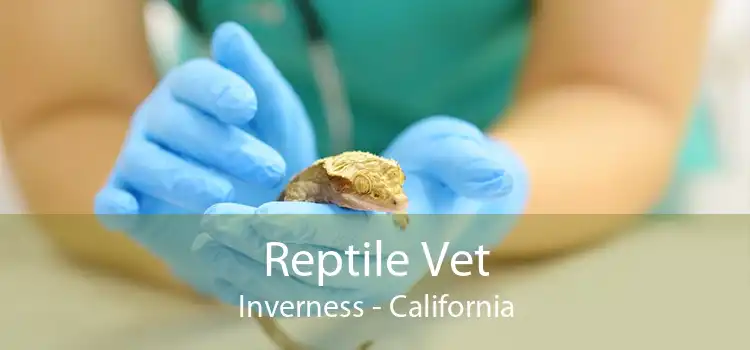 Reptile Vet Inverness - California