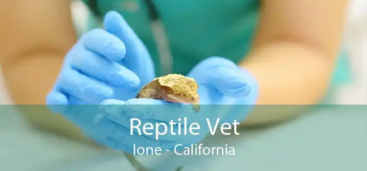 Reptile Vet Ione - California