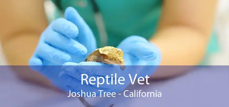 Reptile Vet Joshua Tree - California