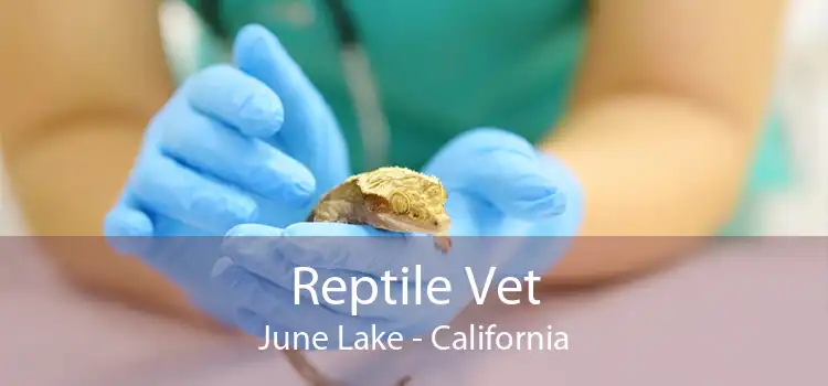 Reptile Vet June Lake - California