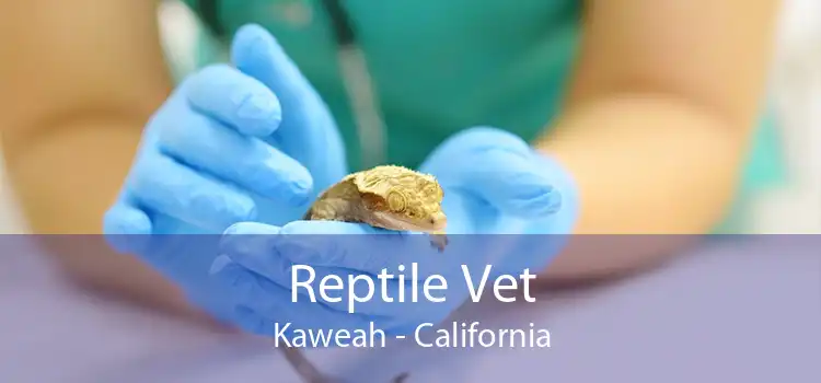 Reptile Vet Kaweah - California