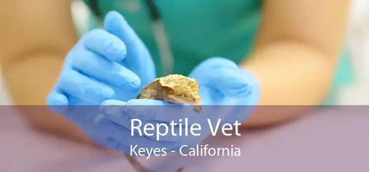 Reptile Vet Keyes - California