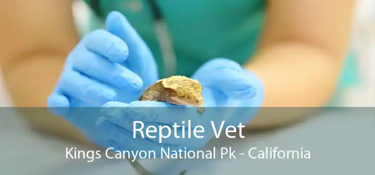 Reptile Vet Kings Canyon National Pk - California