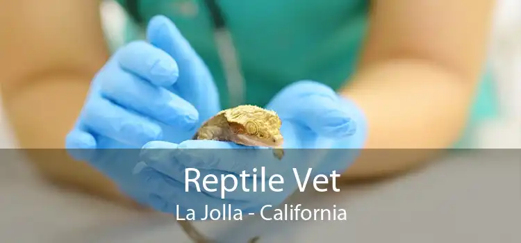 Reptile Vet La Jolla - California