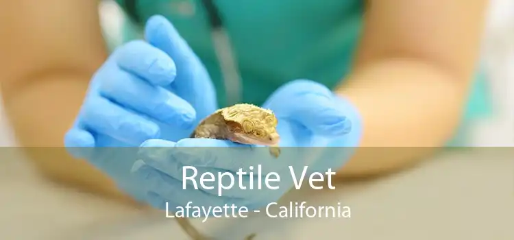 Reptile Vet Lafayette - California