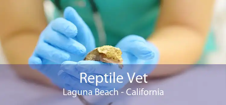 Reptile Vet Laguna Beach - California