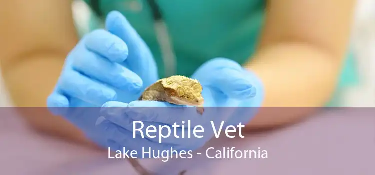 Reptile Vet Lake Hughes - California