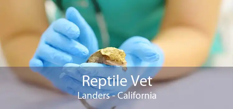 Reptile Vet Landers - 24 Hour Reptile Vet Near Me