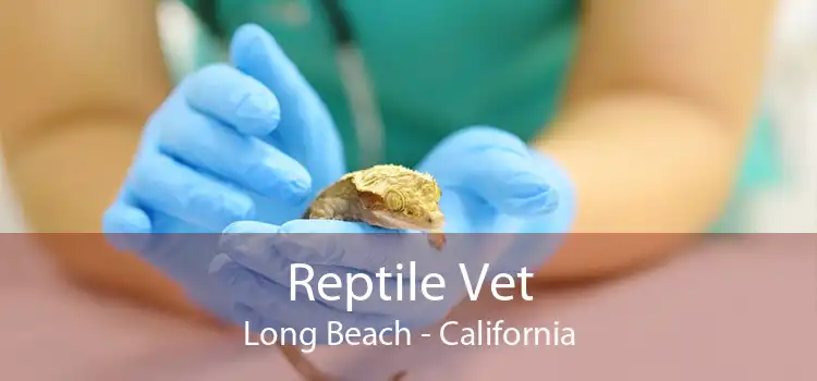 Reptile Vet Long Beach - California