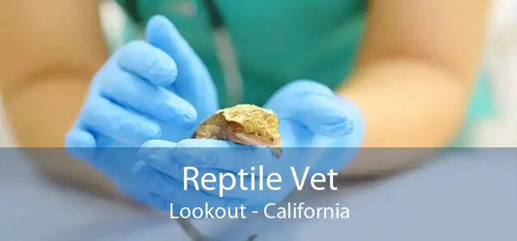 Reptile Vet Lookout - California