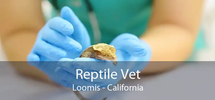 Reptile Vet Loomis - California