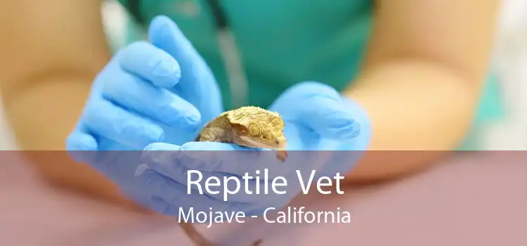 Reptile Vet Mojave - California