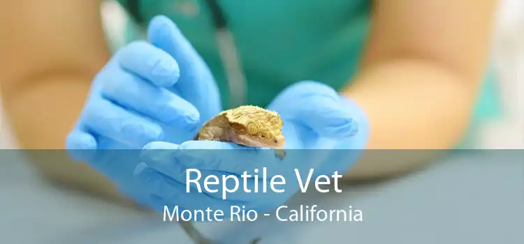 Reptile Vet Monte Rio - California