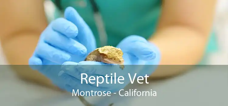 Reptile Vet Montrose - California