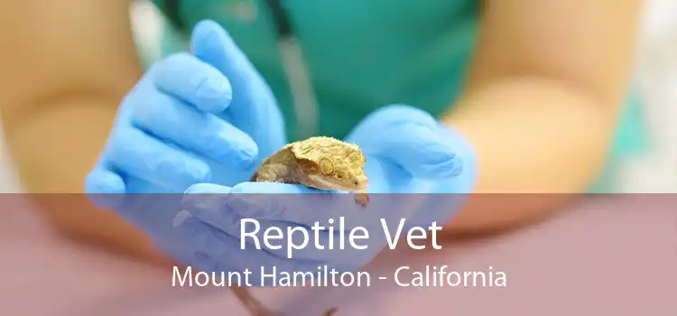 Reptile Vet Mount Hamilton - California