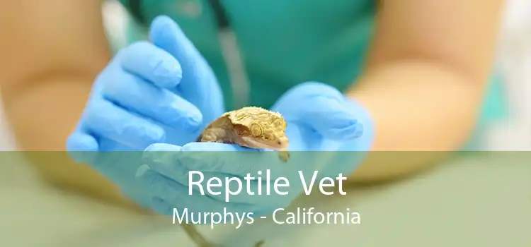 Reptile Vet Murphys - California