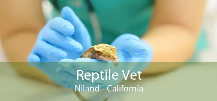 Reptile Vet Niland - California