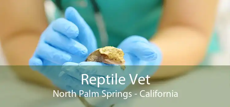 Reptile Vet North Palm Springs - California