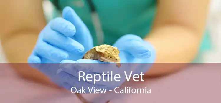 Reptile Vet Oak View - California