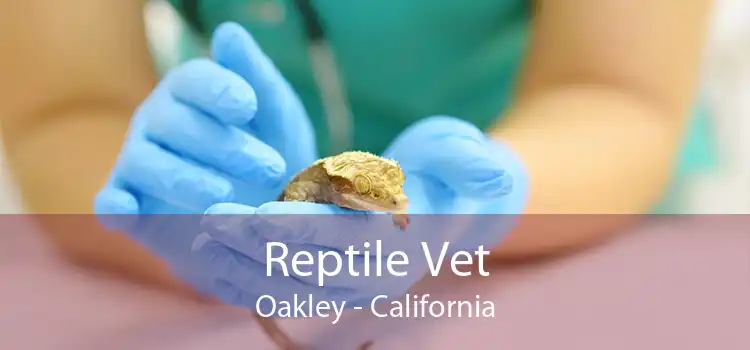 Reptile Vet Oakley - California