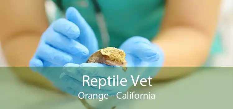 Reptile Vet Orange - California