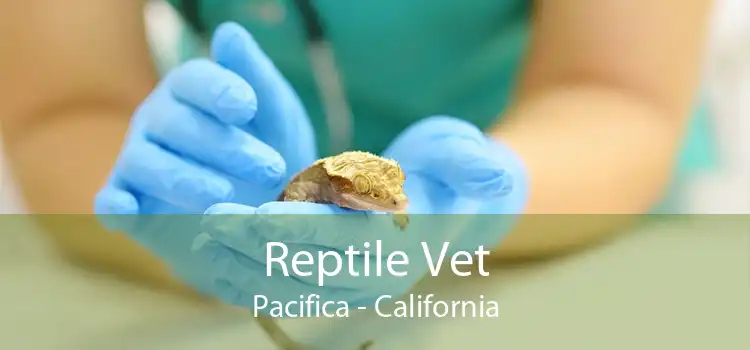 Reptile Vet Pacifica - California