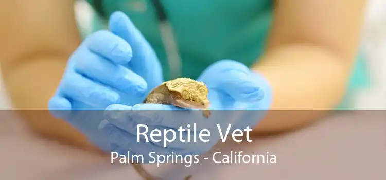 Reptile Vet Palm Springs - California