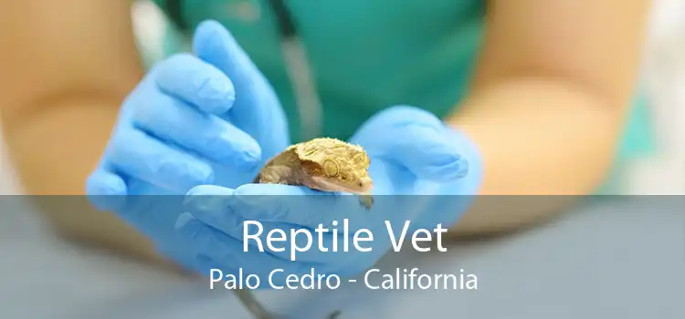 Reptile Vet Palo Cedro - California
