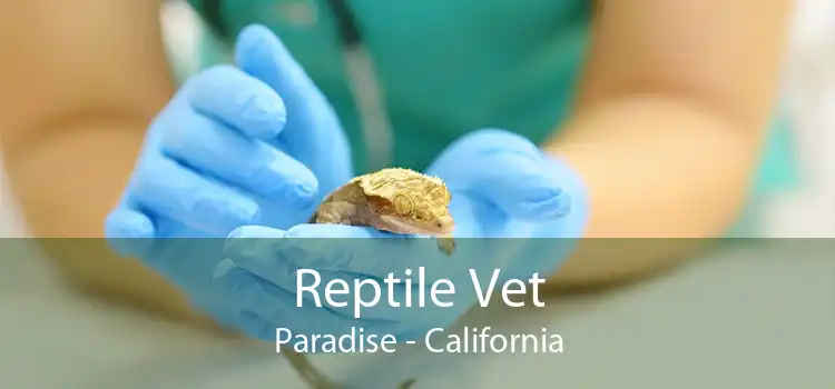 Reptile Vet Paradise - California