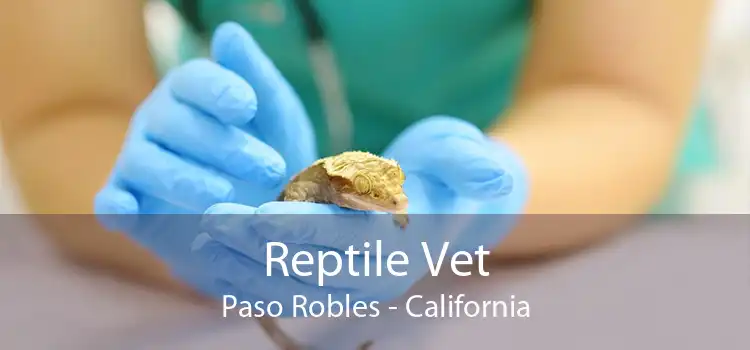 Reptile Vet Paso Robles - California