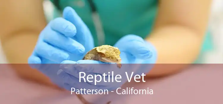 Reptile Vet Patterson - California