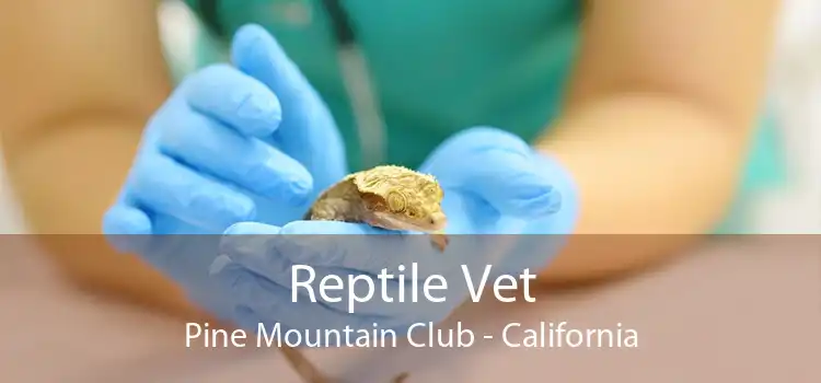 Reptile Vet Pine Mountain Club - California