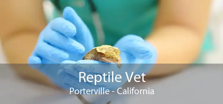 Reptile Vet Porterville - California