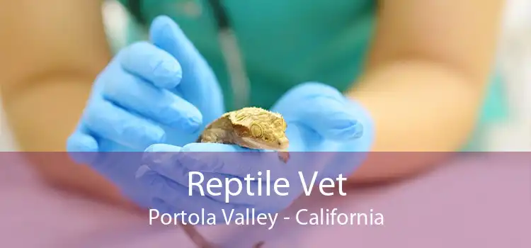 Reptile Vet Portola Valley - California