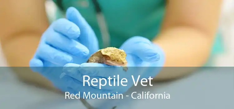 Reptile Vet Red Mountain - California