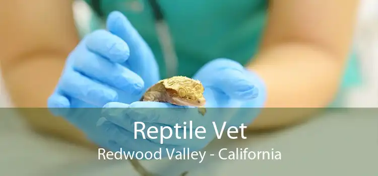 Reptile Vet Redwood Valley - California