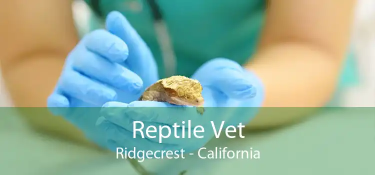 Reptile Vet Ridgecrest - California